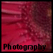 photography